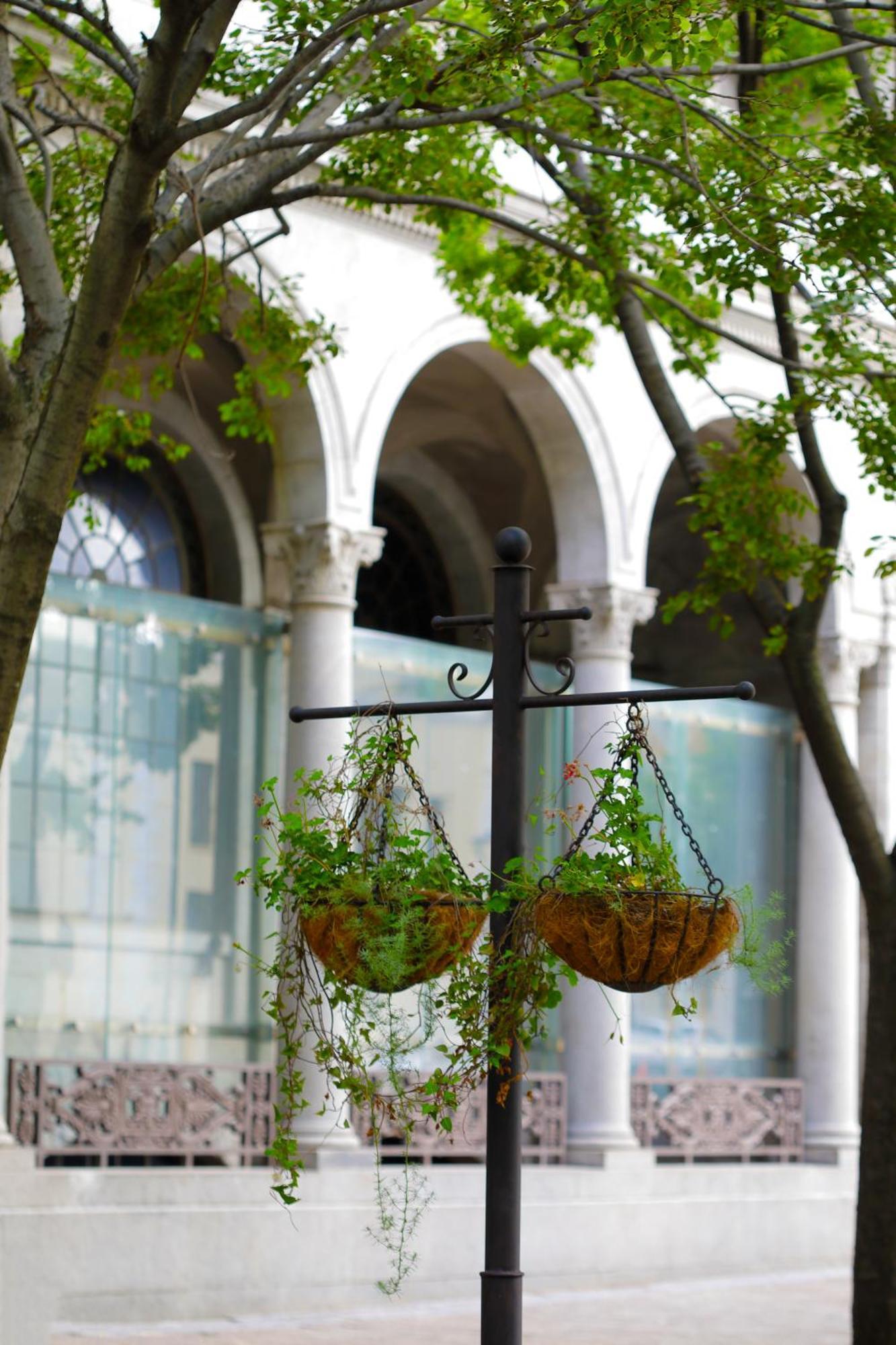 Labotessa Luxury Boutique Hotel كيب تاون المظهر الخارجي الصورة